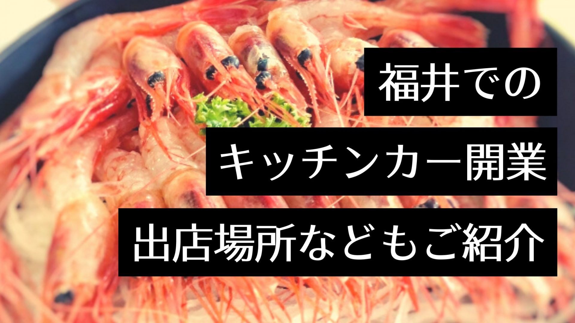 福井県でキッチンカー（移動販売）を開業！おすすめ出店場所・イベントや製作会社、人気店まとめ